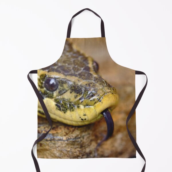 Item preview, Anaconda head designed and sold by Kiran-Fine-Art.