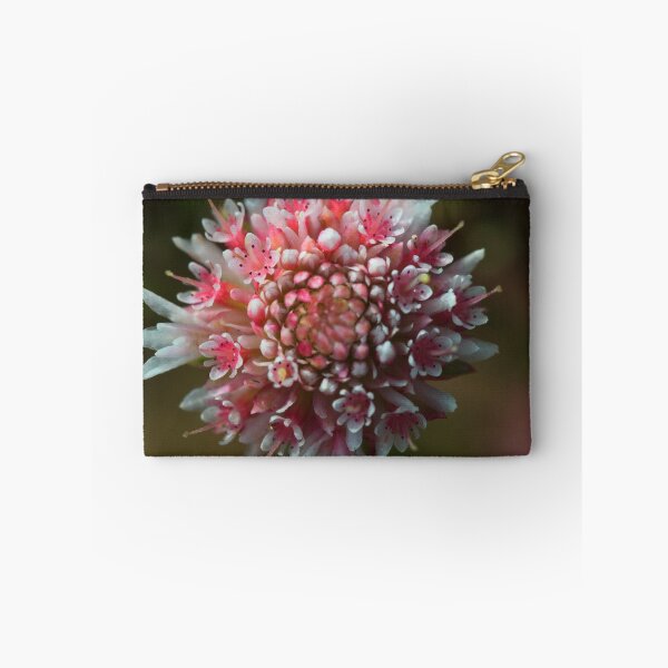 Item preview, Actinodium cunninghamii designed and sold by andrachne.