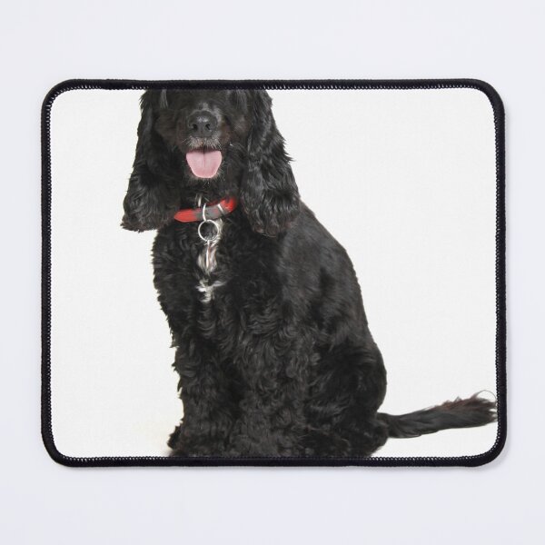 Item preview, A cocker spaniel happy birthday designed and sold by Gerry Pearce.