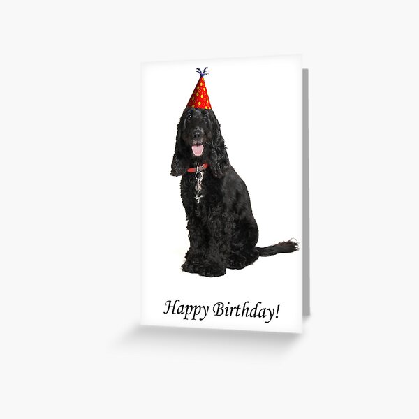 Cocker Spaniel Greeting Cards for Sale | Redbubble