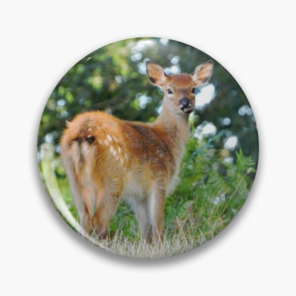 Item preview, An Adorable Fallow Deer designed and sold by Karen Thomson.