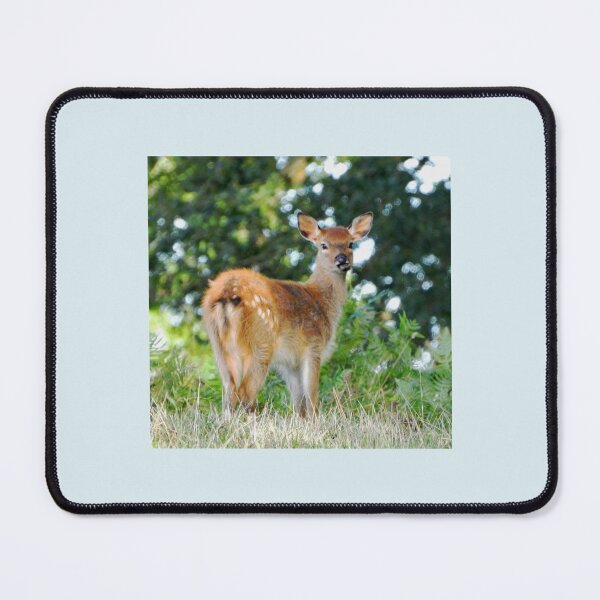 Item preview, An Adorable Fallow Deer designed and sold by Karen Thomson.