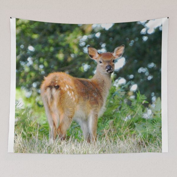 Item preview, An Adorable Fallow Deer designed and sold by Karen Thomson.