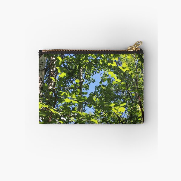 Item preview, Sunlight in Aspen poplars designed and sold by Jim Sauchyn.