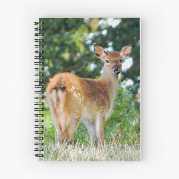 Item preview, An Adorable Fallow Deer designed and sold by Karen Thomson.