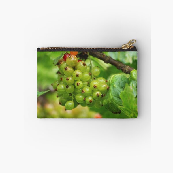 Item preview,  Red Currants - Soon Ripe designed and sold by karina5.