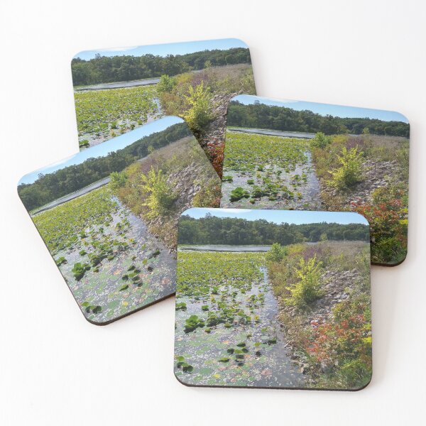 Item preview, Lakeshore designed and sold by ElphCreations.