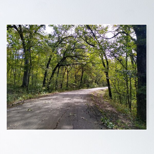 Item preview, Tree Lined Road designed and sold by ElphCreations.