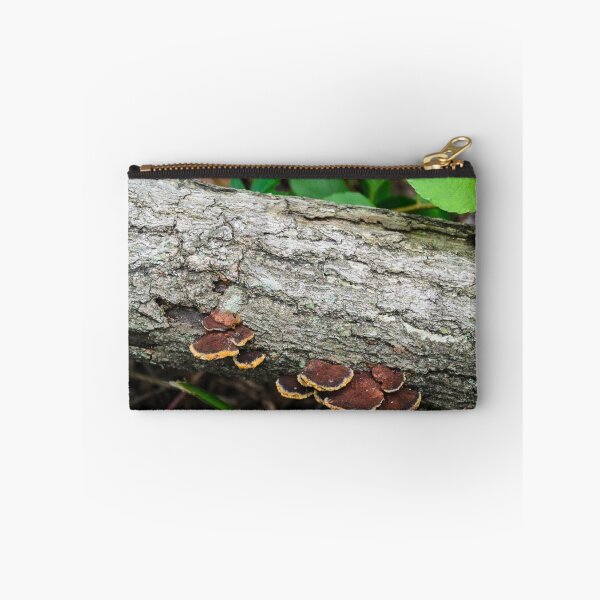 Artikelvorschau, Log with Fungus entworfen und verkauft von Mark Fendrick.