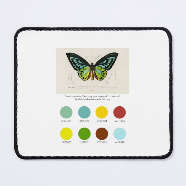 Item preview, Colour Palette of Green birdwing (Ornithoptera priamus) illustrated by Charles Dessalines D' Orbigny designed and sold by CoffeewithAnh.
