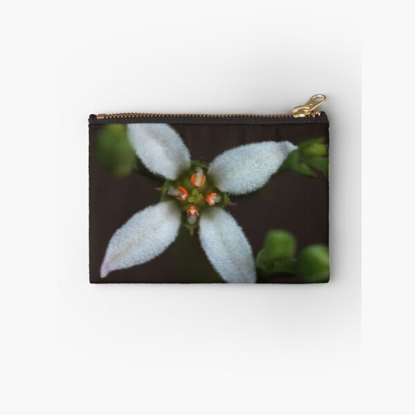 Item preview, Zieria laxiflora designed and sold by andrachne.
