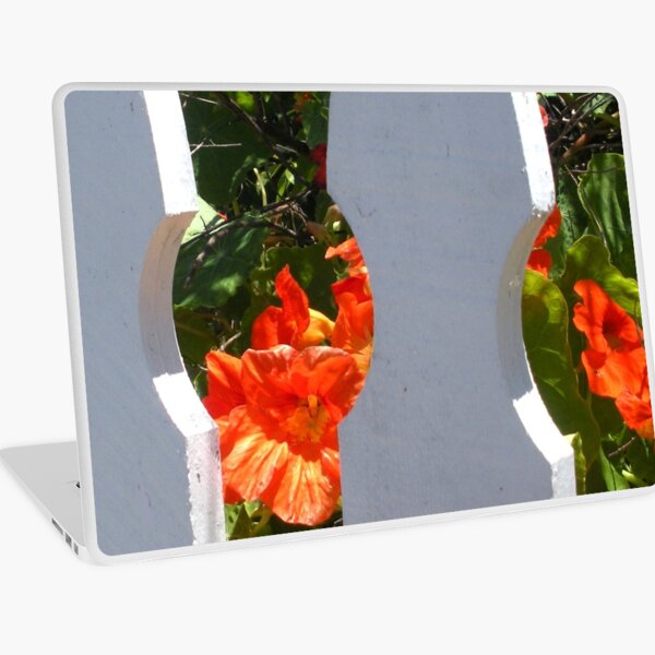 Item preview, Picket Fence Peek designed and sold by waddleudo.