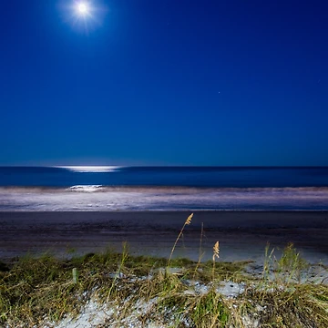 Artwork thumbnail, Moonlit Path by Roselyn Shoko