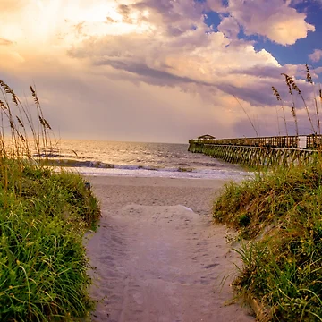 Artwork thumbnail, Sandy pathway by Roselyn Shoko