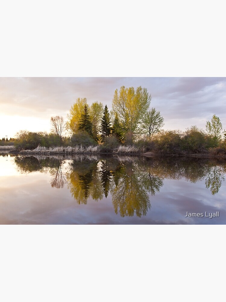 Stillness by corwin