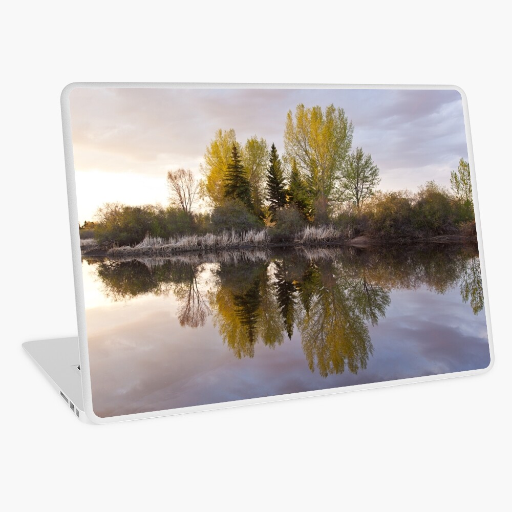Stillness Laptop Skin