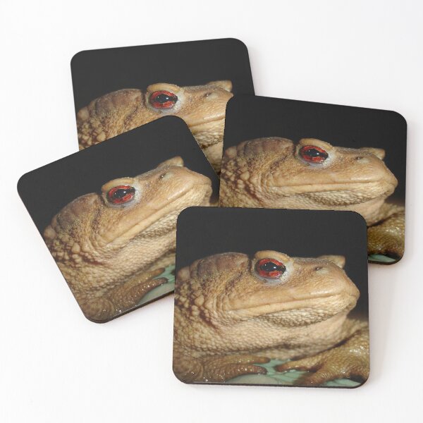 Item preview, Common European Toad Bufo Bufo Close Up Photograph designed and sold by taiche.