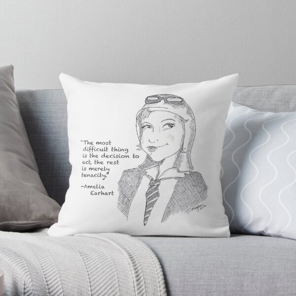 Airplane Print Throw Pillow - Amelia Aviation