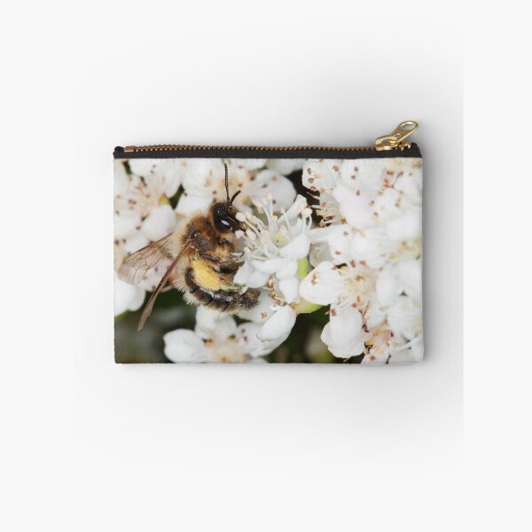 Item preview, Mining Bee Collecting Nectar designed and sold by kernuak.