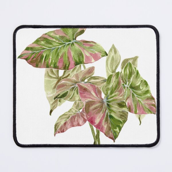 Item preview, Syngonium plant light designed and sold by PetitMartin.