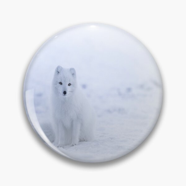 Aperçu de l'œuvre Renard arctique blanc créée et vendue par luisulan.