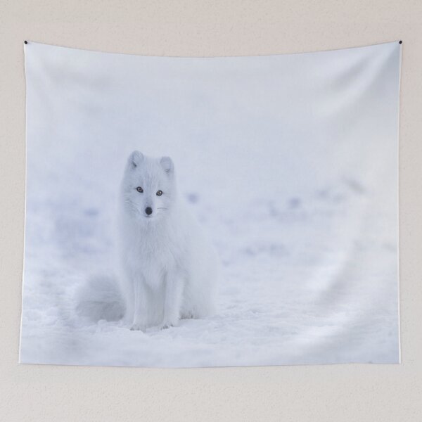 Aperçu de l'œuvre Renard arctique blanc créée et vendue par luisulan.
