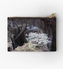 Lichen Stump: Washpool National Park, NSW Studio Pouch