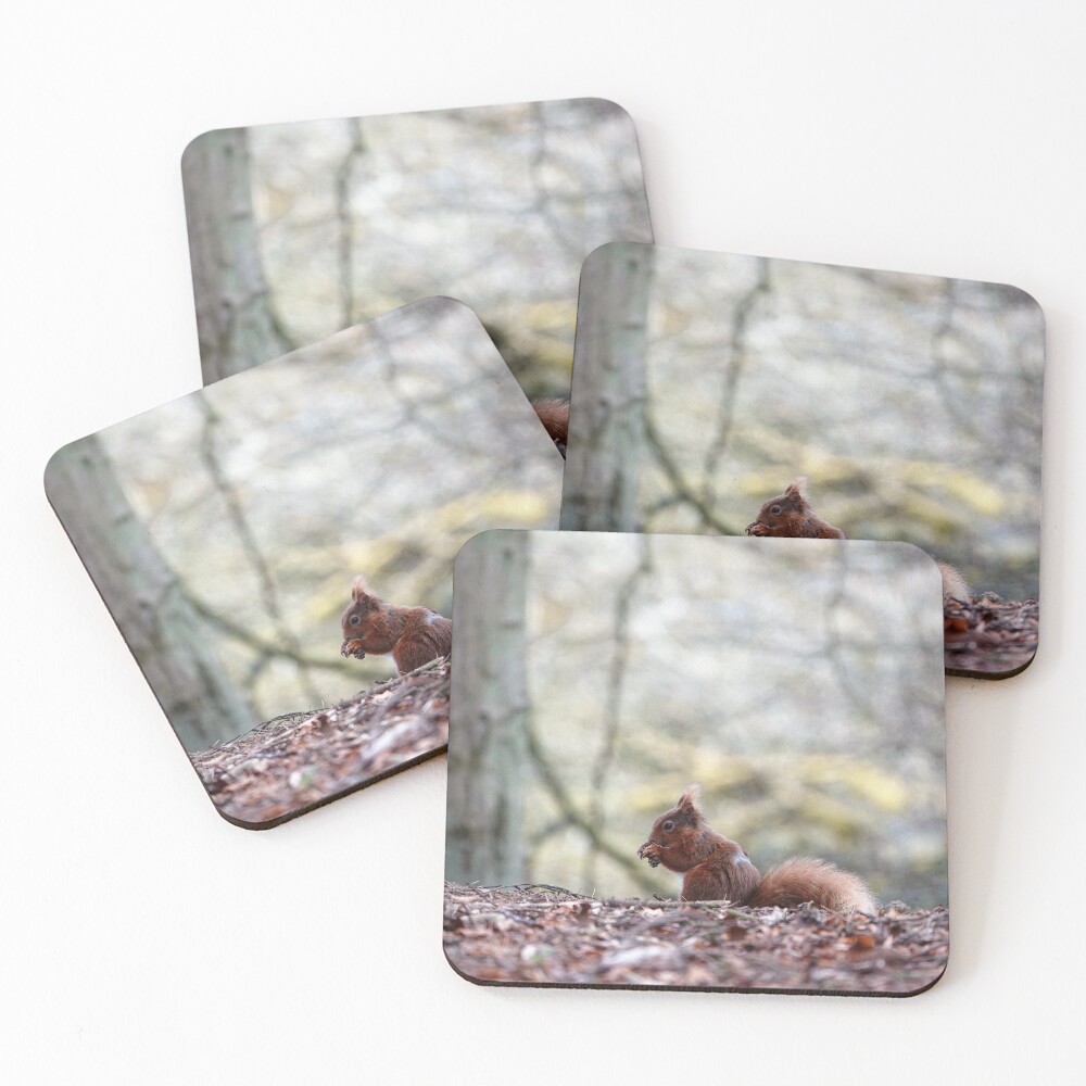 Item preview, Coasters (Set of 4) designed and sold by HappySnapping.