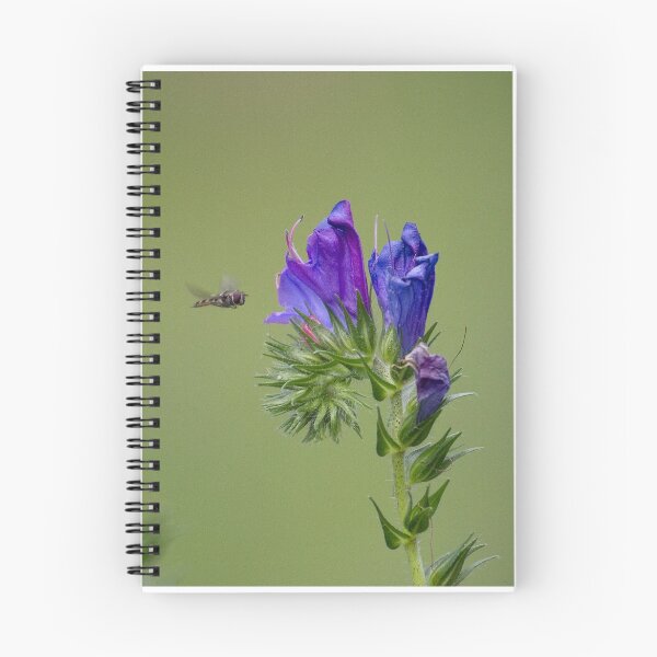 Item preview, Hover Fly designed and sold by terryhewitt.