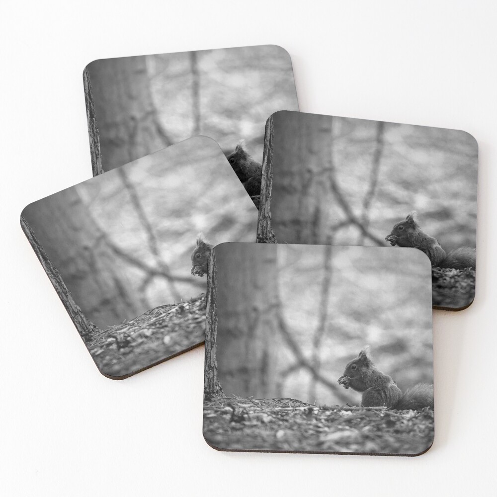 Item preview, Coasters (Set of 4) designed and sold by HappySnapping.