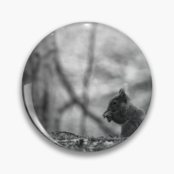 Artikelvorschau, Eichhörnchen entworfen und verkauft von HappySnapping.
