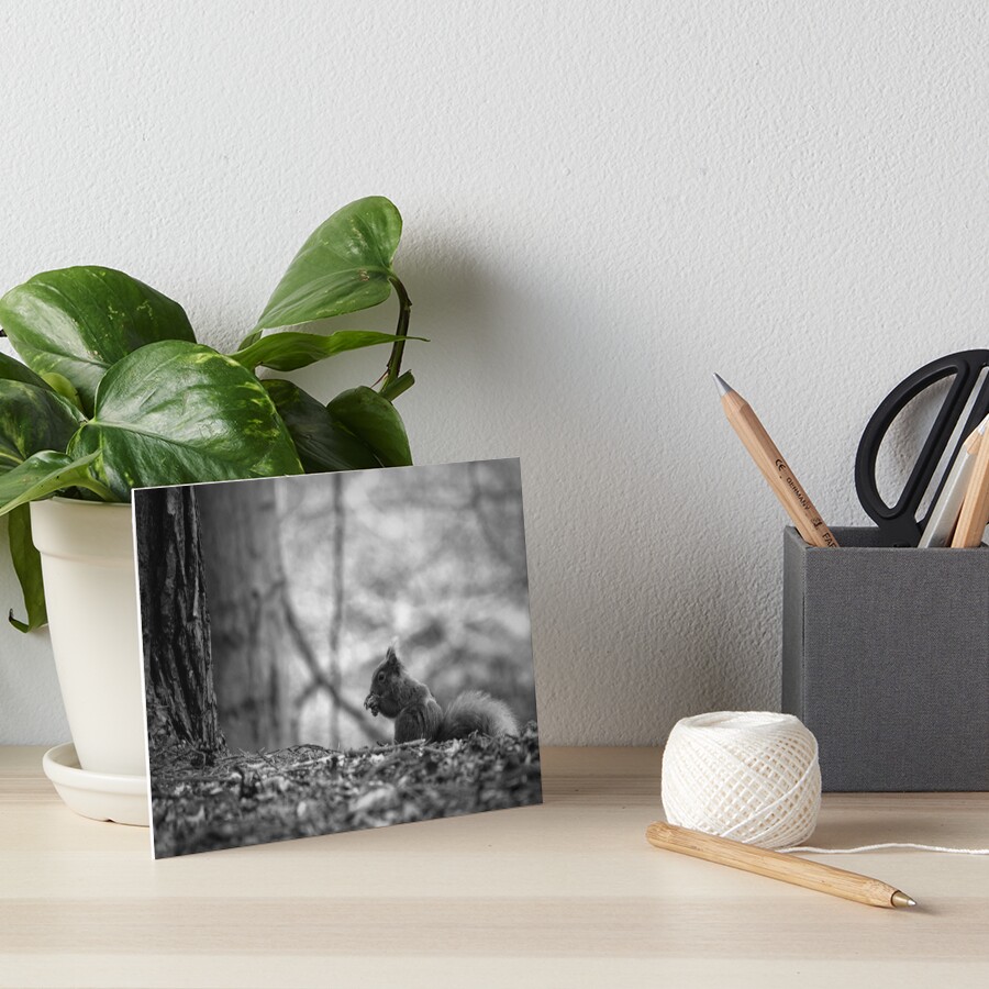 Item preview, Art Board Print designed and sold by HappySnapping.