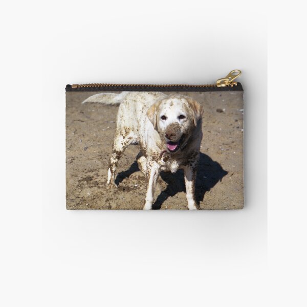 Artikelvorschau, Unser Freund Foxy am Strand. entworfen und verkauft von Michael Haslam.