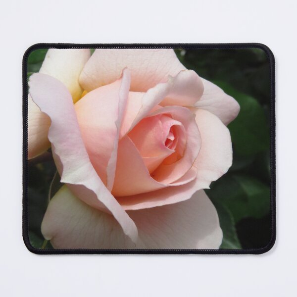 Item preview, Peach Rose designed and sold by wiggyofipswich.