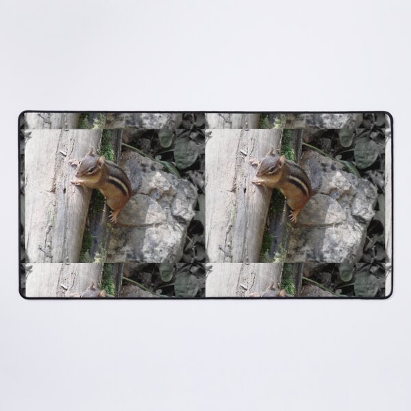 Item preview, If this were my piano, middle C is right here... designed and sold by Jean Gregory Evans.