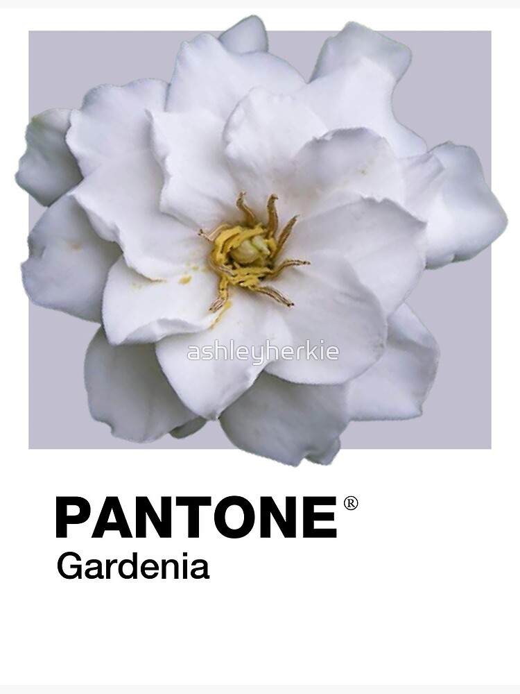 Products – Tagged Gardenia – Heritage Store