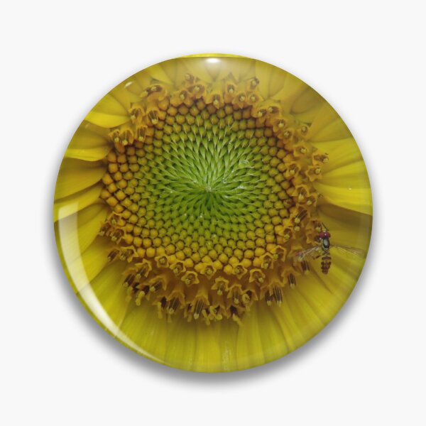 Item preview, I'LL FOLLOW THE SUN designed and sold by Jean Gregory Evans.