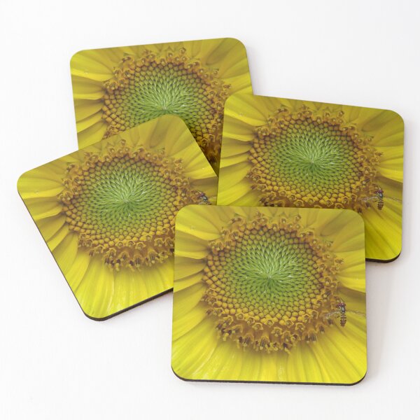 Item preview, I'LL FOLLOW THE SUN designed and sold by Jean Gregory Evans.