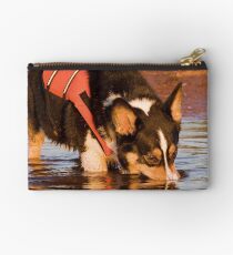 Snack Rescue Studio Pouch