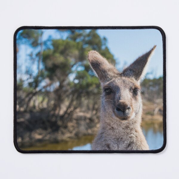 Item preview, Kangaroo In The Bush designed and sold by Funny-Tees4U.