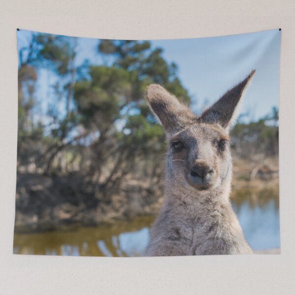 Item preview, Kangaroo In The Bush designed and sold by Funny-Tees4U.