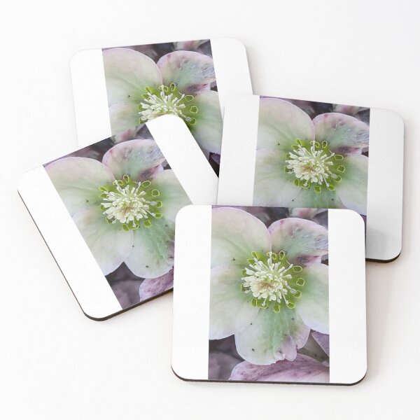 Item preview, The beauty of a flower designed and sold by Yarypzbo14.