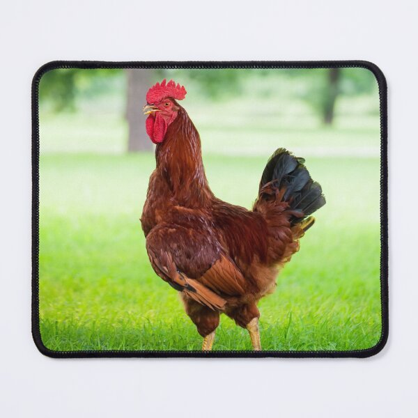 Item preview, Rooster designed and sold by Leslie Banks.