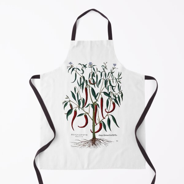 Item preview, Medieval Plant Illustration: Red Chili designed and sold by Naturalist Prints.