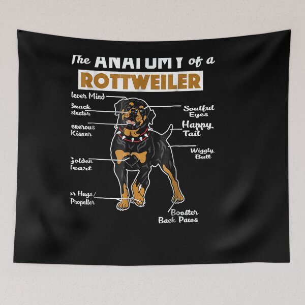 Item preview, The Anatomy Of A Rottweiler   designed and sold by joh1zwfkristy.