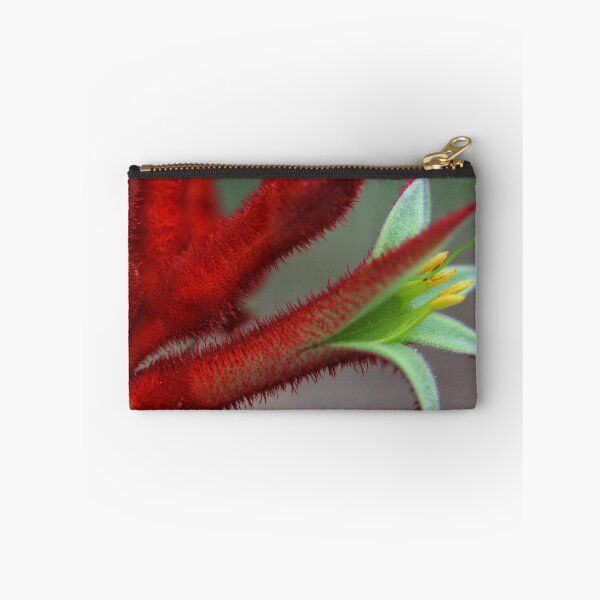 Item preview, Anigozanthos flavidus designed and sold by andrachne.