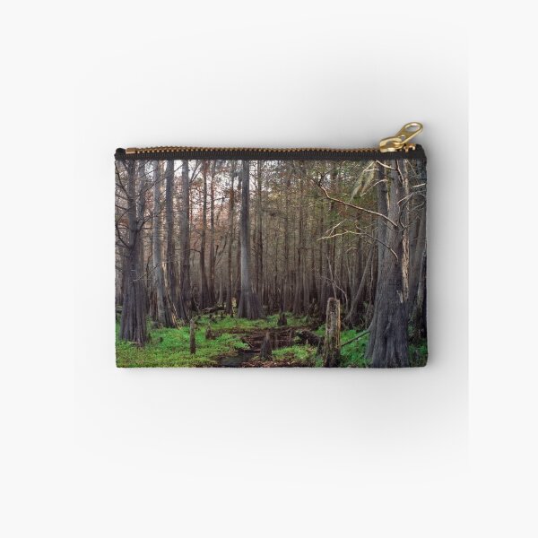 Aperçu de l'œuvre Cypress Swamp at Jane Green Creek #1. créée et vendue par christopher kusik.