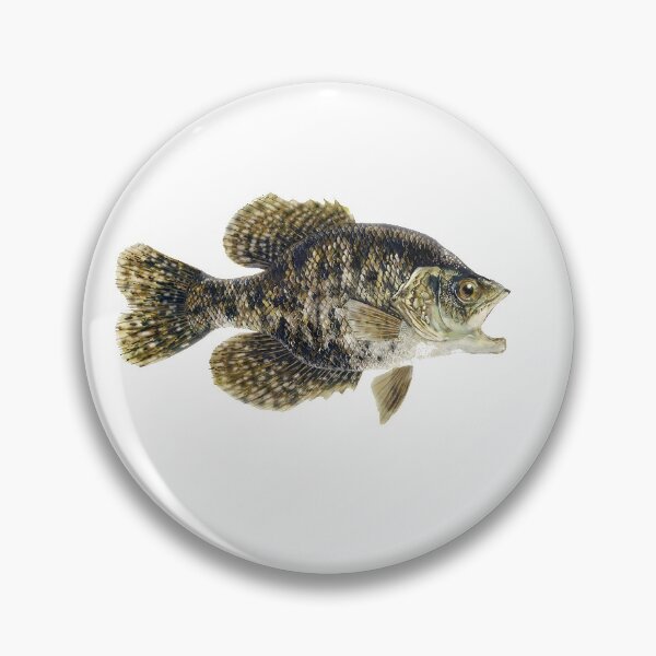 Item preview, Big ol' Crappie designed and sold by Lynette Yencho.