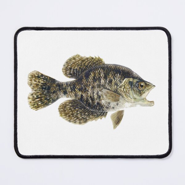 Item preview, Big ol' Crappie designed and sold by Lynette Yencho.
