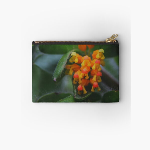 Item preview, Grevillea pimeleoides designed and sold by andrachne.